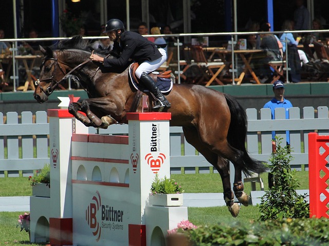 本赛季的前 本赛季的前