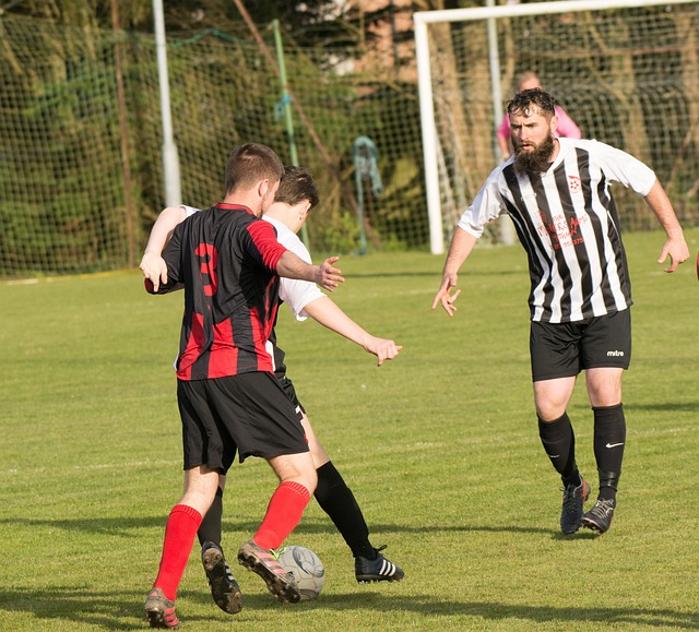 擇了放棄 擇了放棄