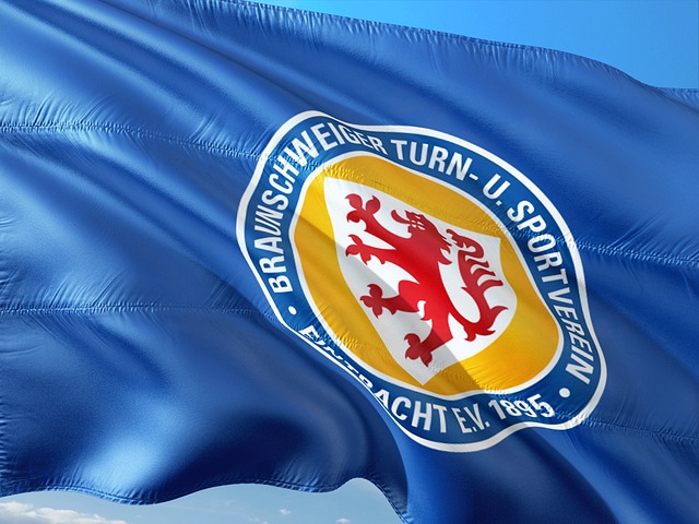 揭示正确 揭示正确