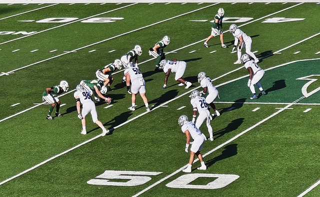 (体育)网球——澳网：辛纳胜兹维列夫男单夺冠(4).