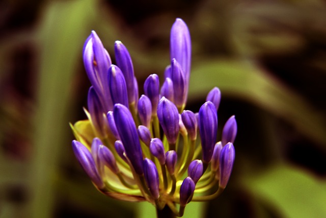 市场活力 市场活力